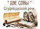 Студия русской речи "Две совы"